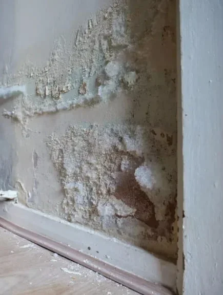 House Disrepair Case Study