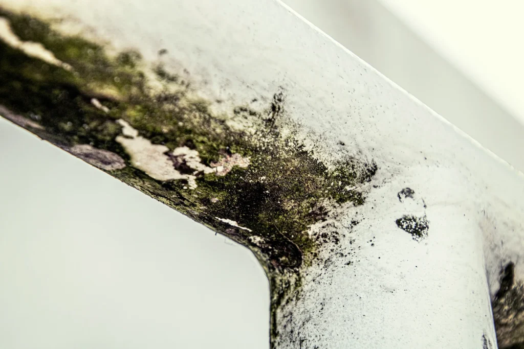 An Introduction to Awaab’s Law: What Landlords Need to Know to Stay Compliant