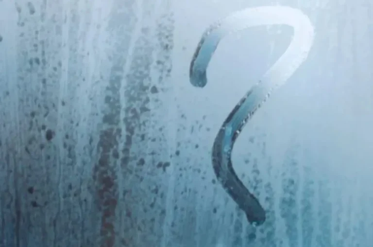 Relative Humidity and How It Can Promote Condensation
